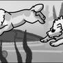 Diving 126