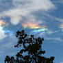 fire rainbow 8