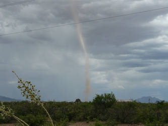 Dust devil