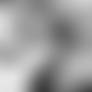 bdsmlr-34931-sFDRO7xKP7