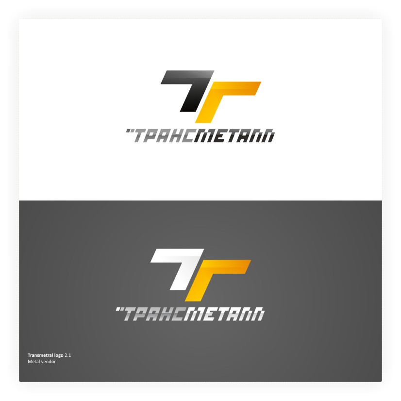 Transmetal Logotype