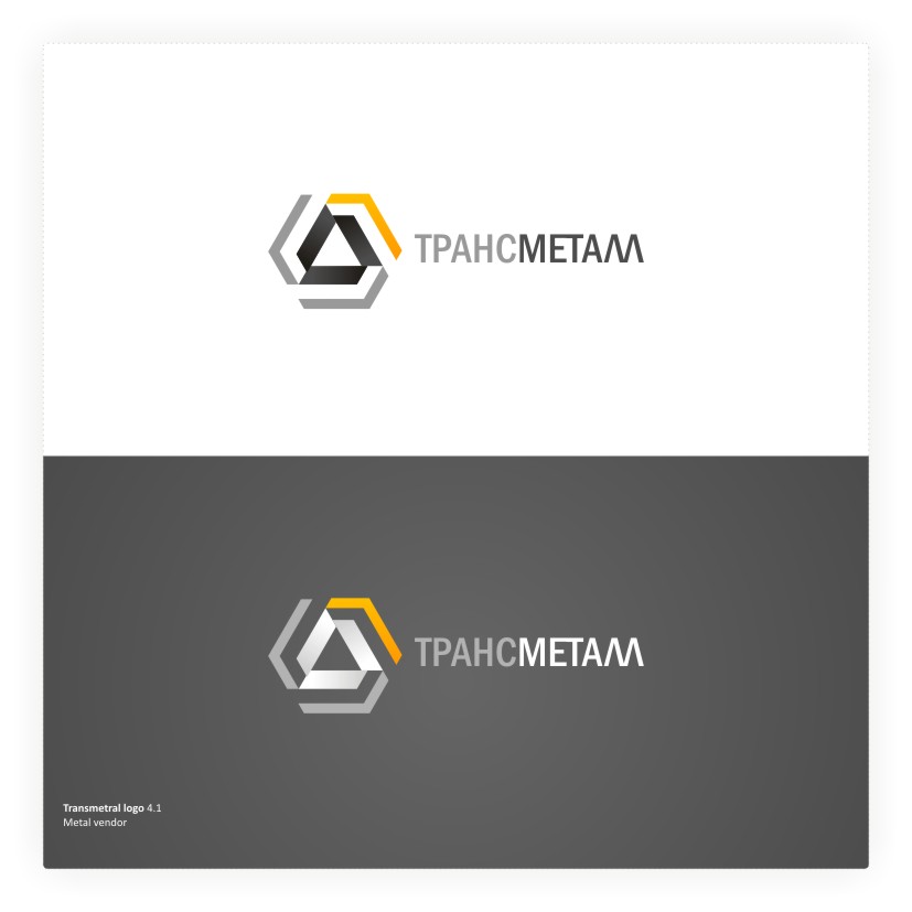 Transmetal Logotype 2