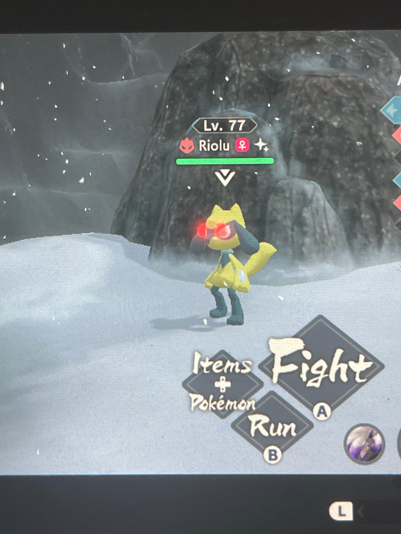 Shiny (Alpha) Riolu