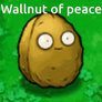 Wallnut of peace