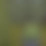 A Shy Shiny Jolteon?