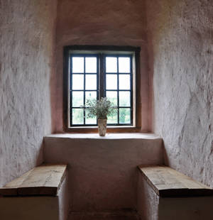 Castle window II