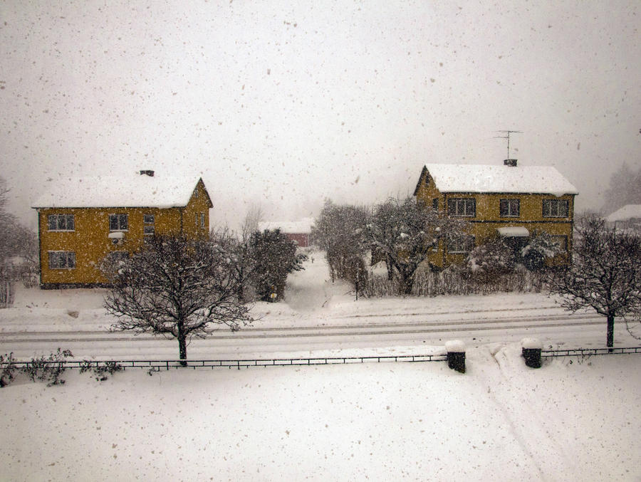 Yellow houses