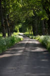 The green road by RavensLane