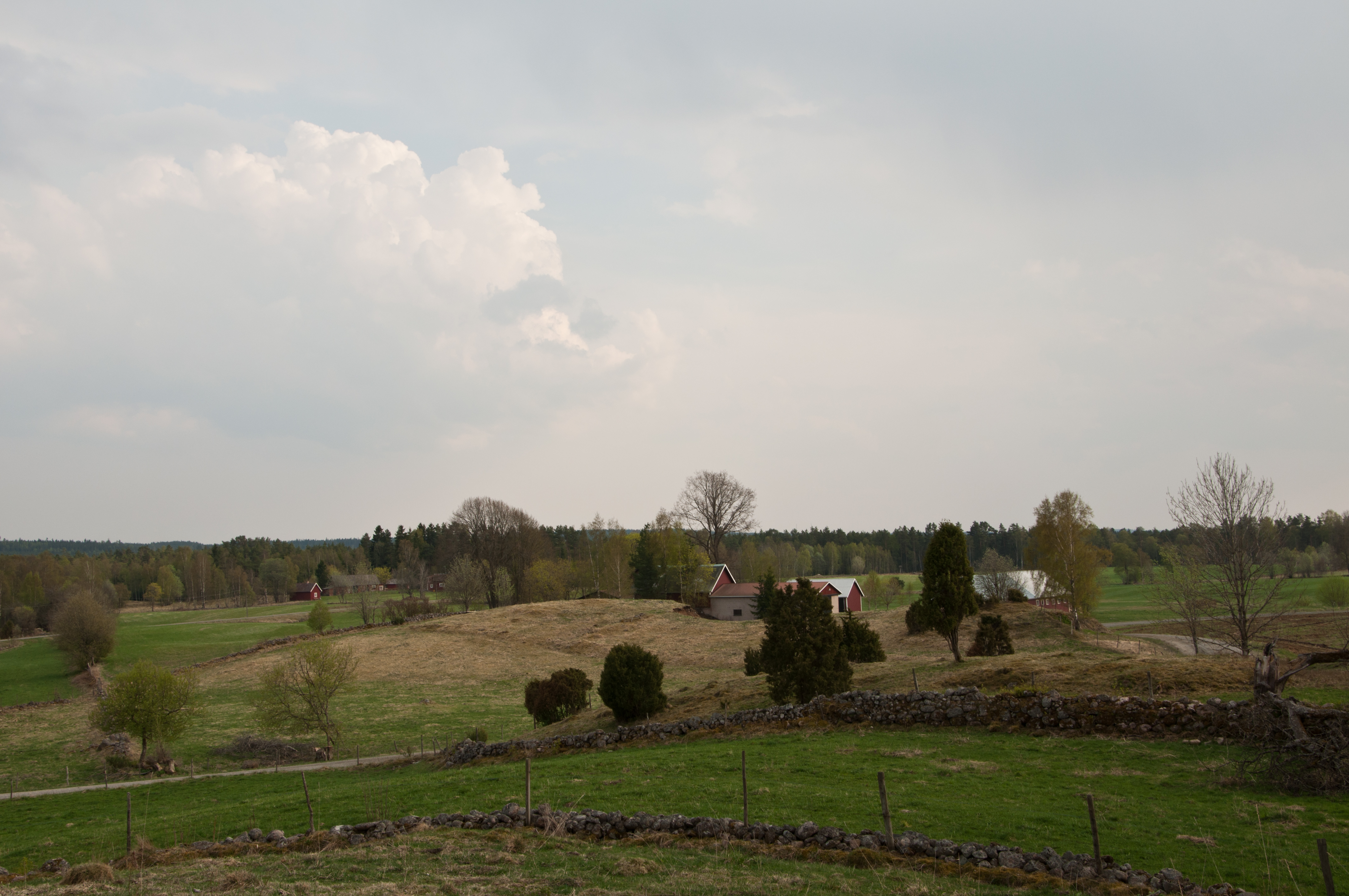 Farm in springtime - stock