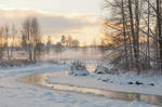 Winter at the river