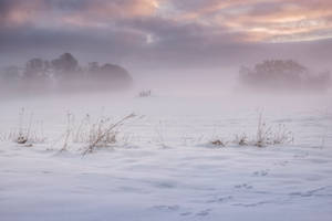 Winter-stock