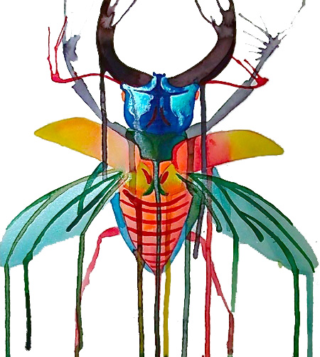 Rainbow Stag Beetle