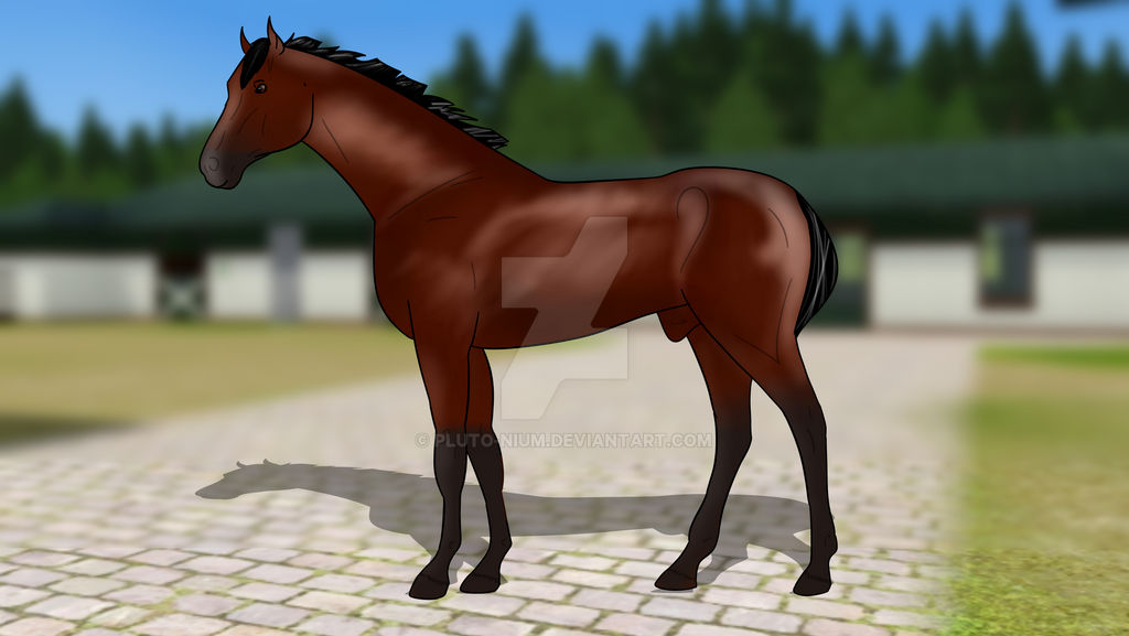 FT Triton- Sold