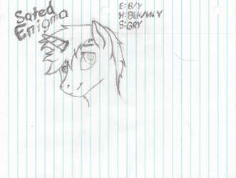 Sated Enigma Doodle