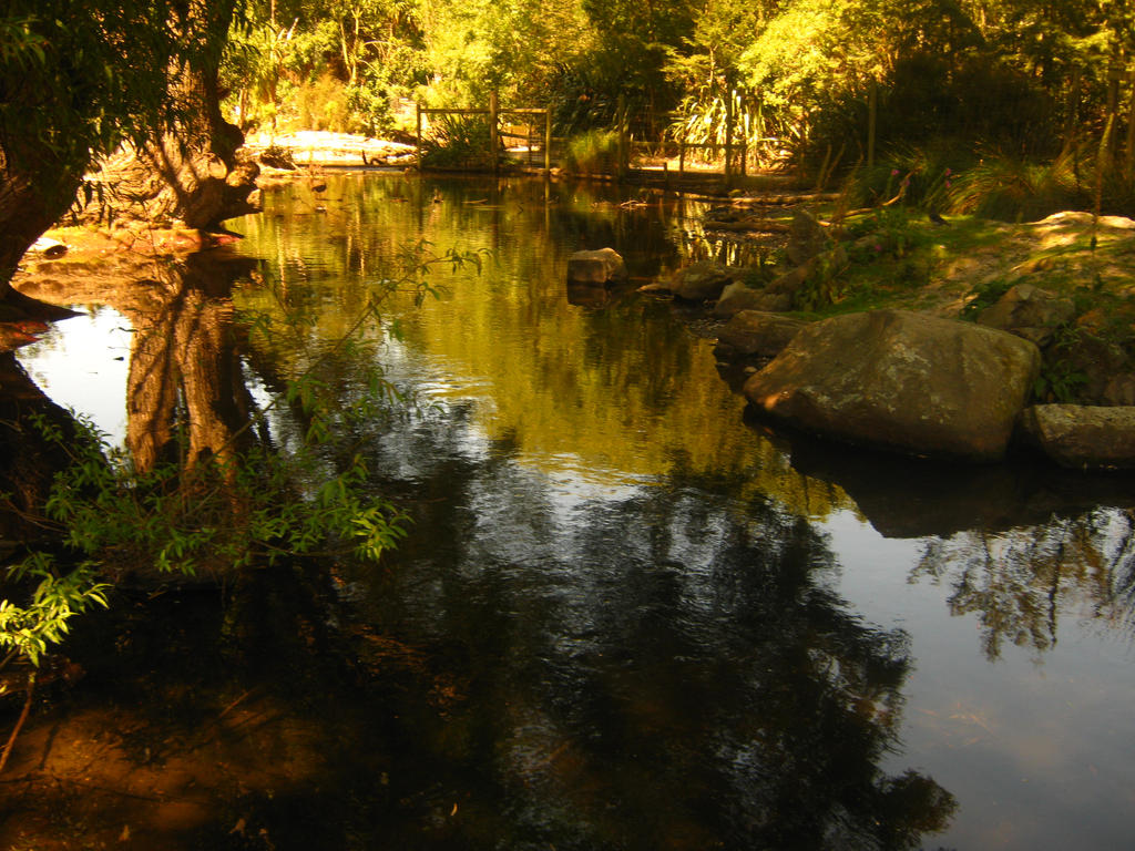 Water View