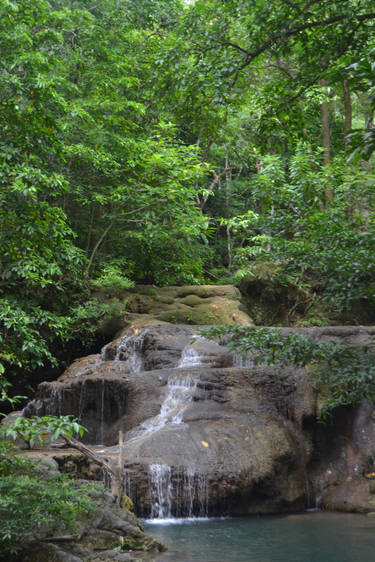 Jungle Waterfall IV