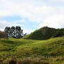 New Zealand Landscape V