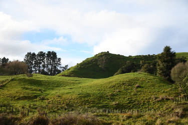 New Zealand Landscape V