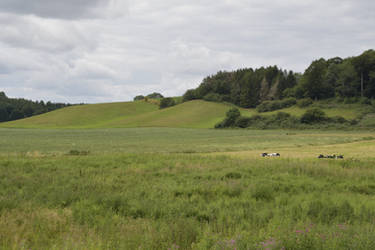 The Danish Landscape