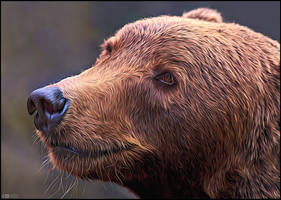 Painterly Brown Bear