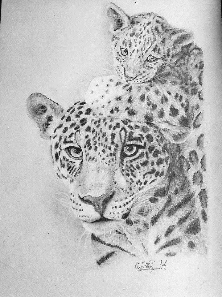 Leopard Slinking Drawing Leopard drawing by twistyart on DeviantArt