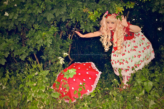 Strawberry Wonderland