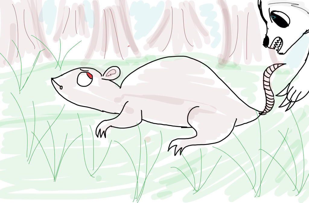 Mean Wolf Rats The Wolf and Rat pic 3 by Mistywolf121775 on DeviantArt
