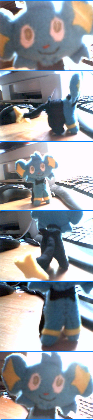 Shinx Plushie