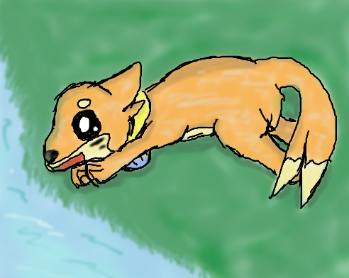 Buizel