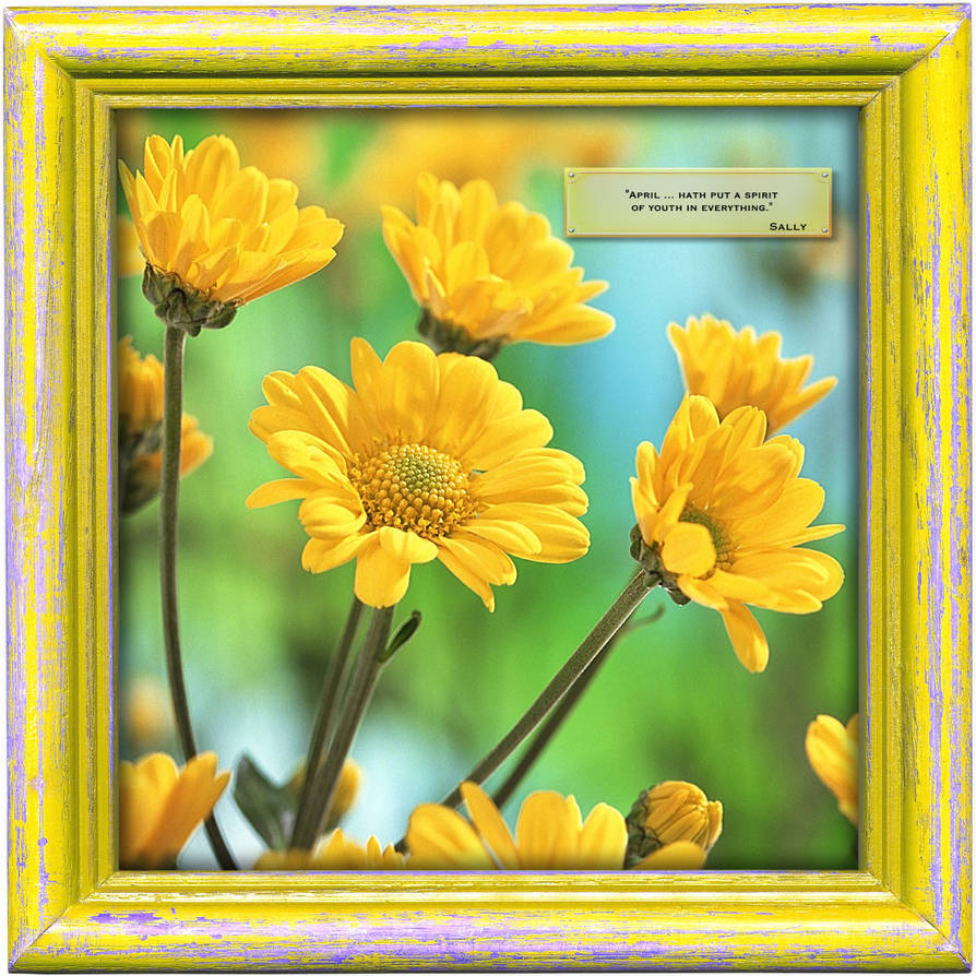 Spring Spirit Images Spring Spirit by SassySillySally on DeviantArt
