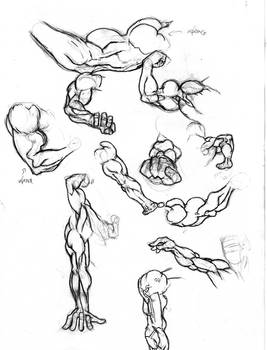 scrapaday 15 arm anatomy study