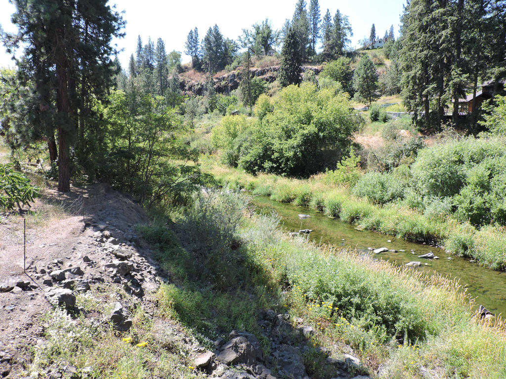 Creek-Hillside