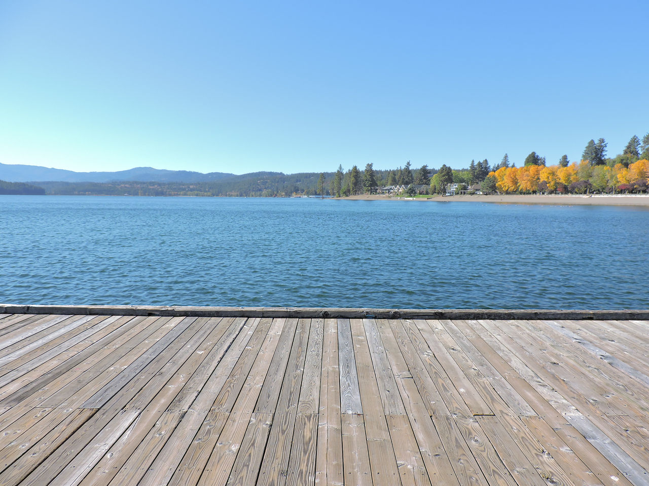 Woodendock6 by Drury-Lane