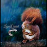 Lover'sQuirrel