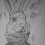 Coniglio Bianco