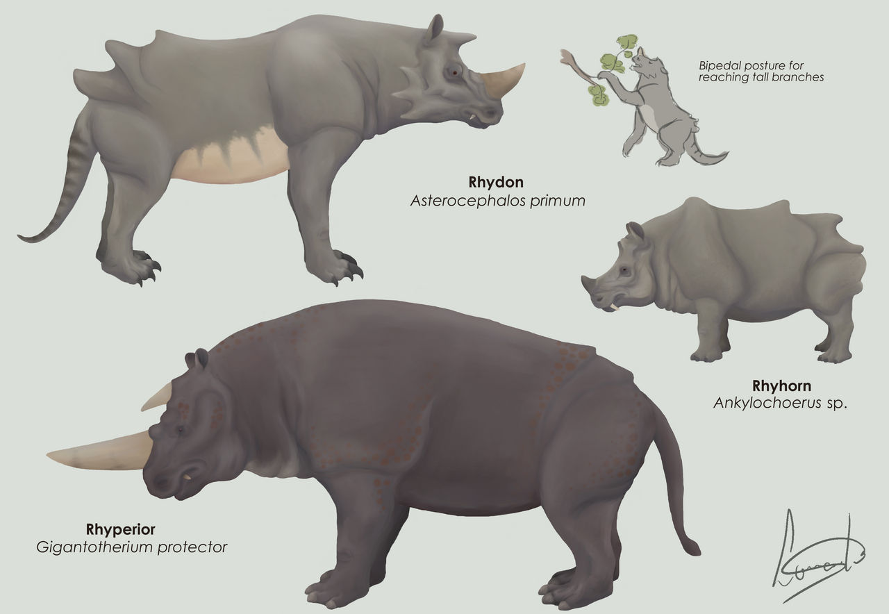 Rhyhorn, Rhydon and Rhyperior by leonardismos on DeviantArt