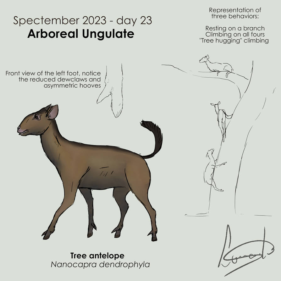 Spectember day 23 - Arboreal Ungulate by leonardismos on DeviantArt