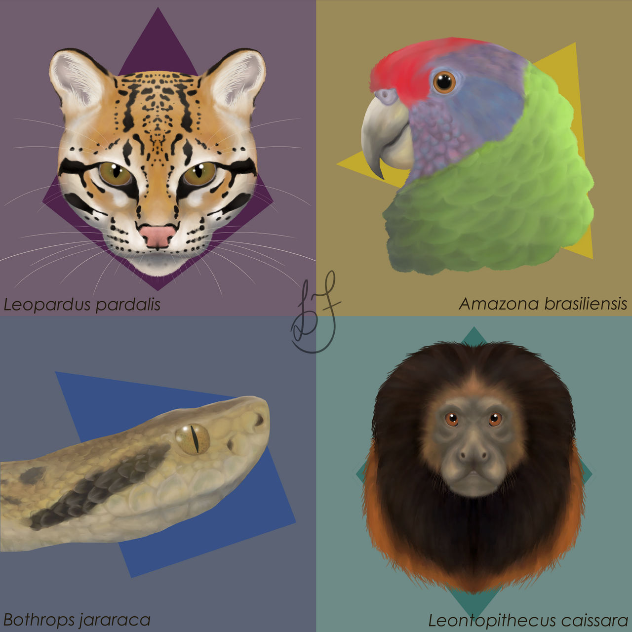 Fauna R Portrait Portraits of local fauna by leonardismos on DeviantArt