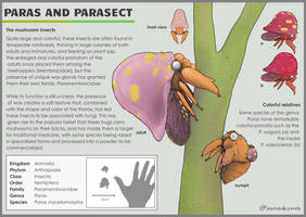 Leo's Dex - Paras and Parasect