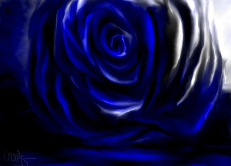 Blue rose