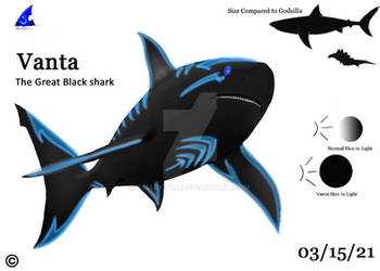 Vanta: The Great Black Shark