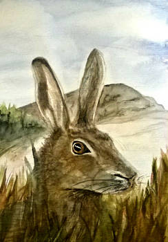 A Winter Hare