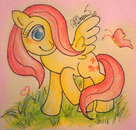 Fluttershy's day