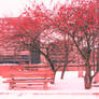 Red tree