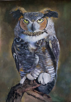 Owl Pastel Drawing