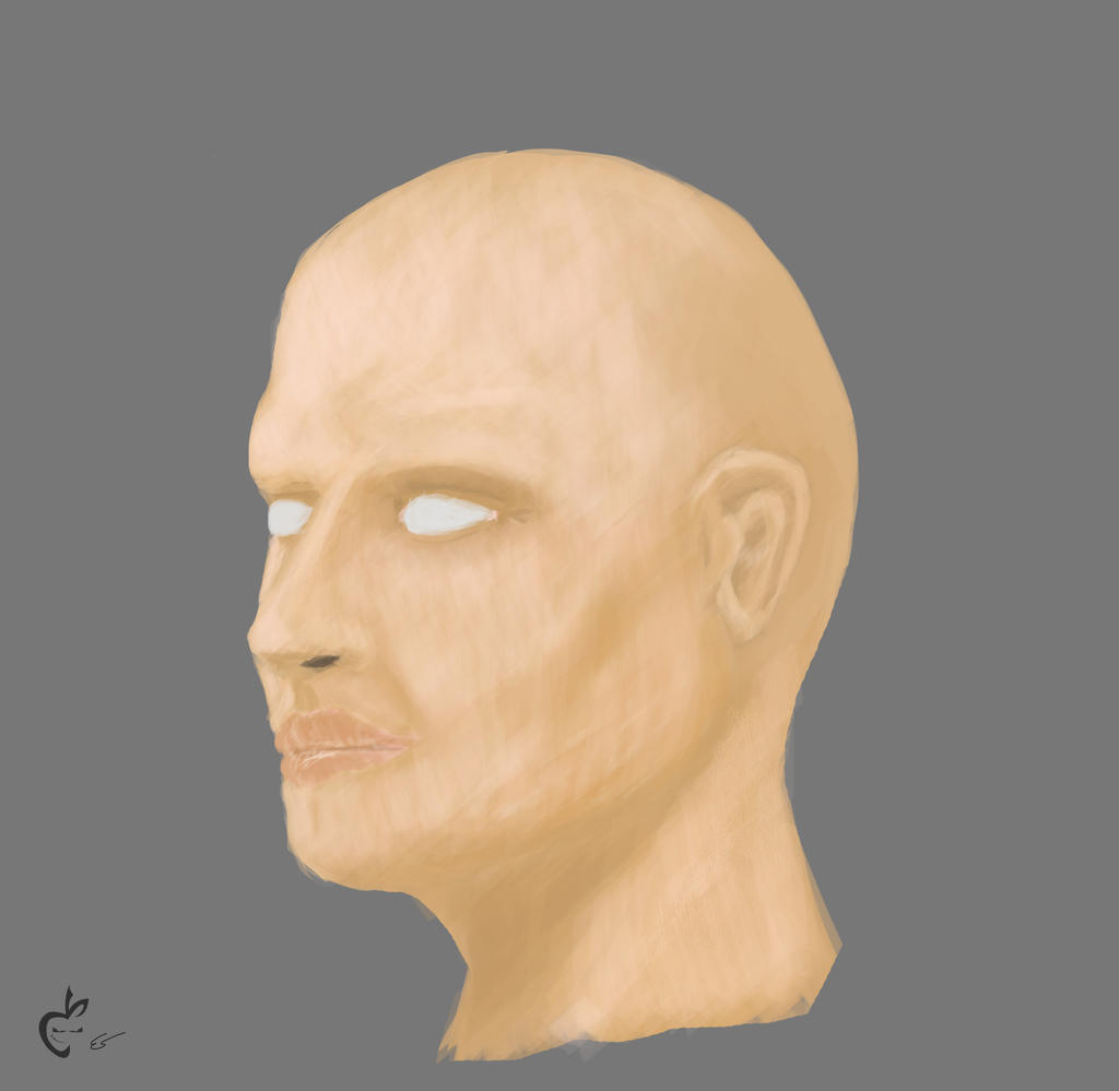 Blank Head Template by Deviantapplestudios on DeviantArt