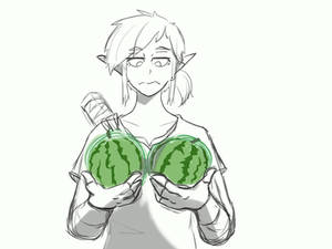 Link and his melons (BotWSketch)