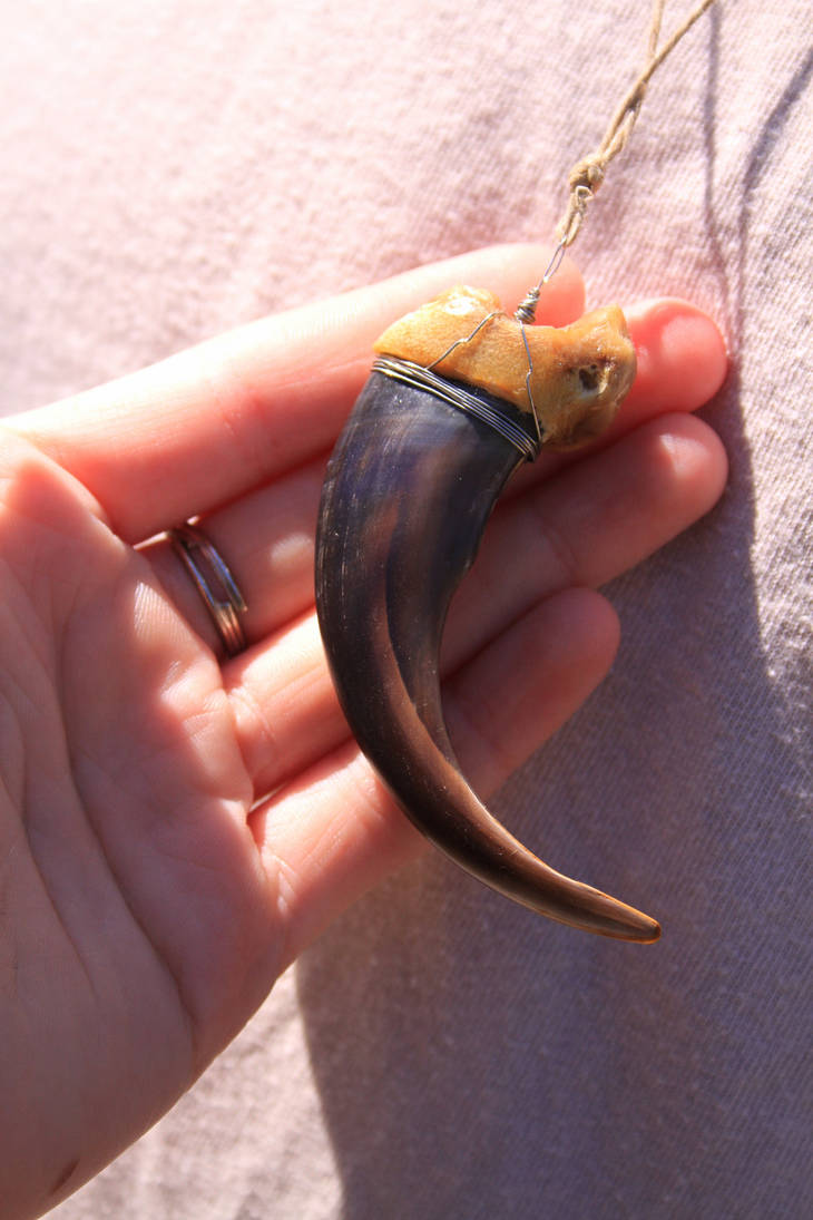 Grizzly Bear Claw Necklace By Naturepunk On Deviantart Grizzly Bear Claw Necklace By Naturepunk