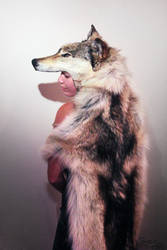 Huge Wolf Headdress