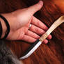 Domestic Cat Bone Knife